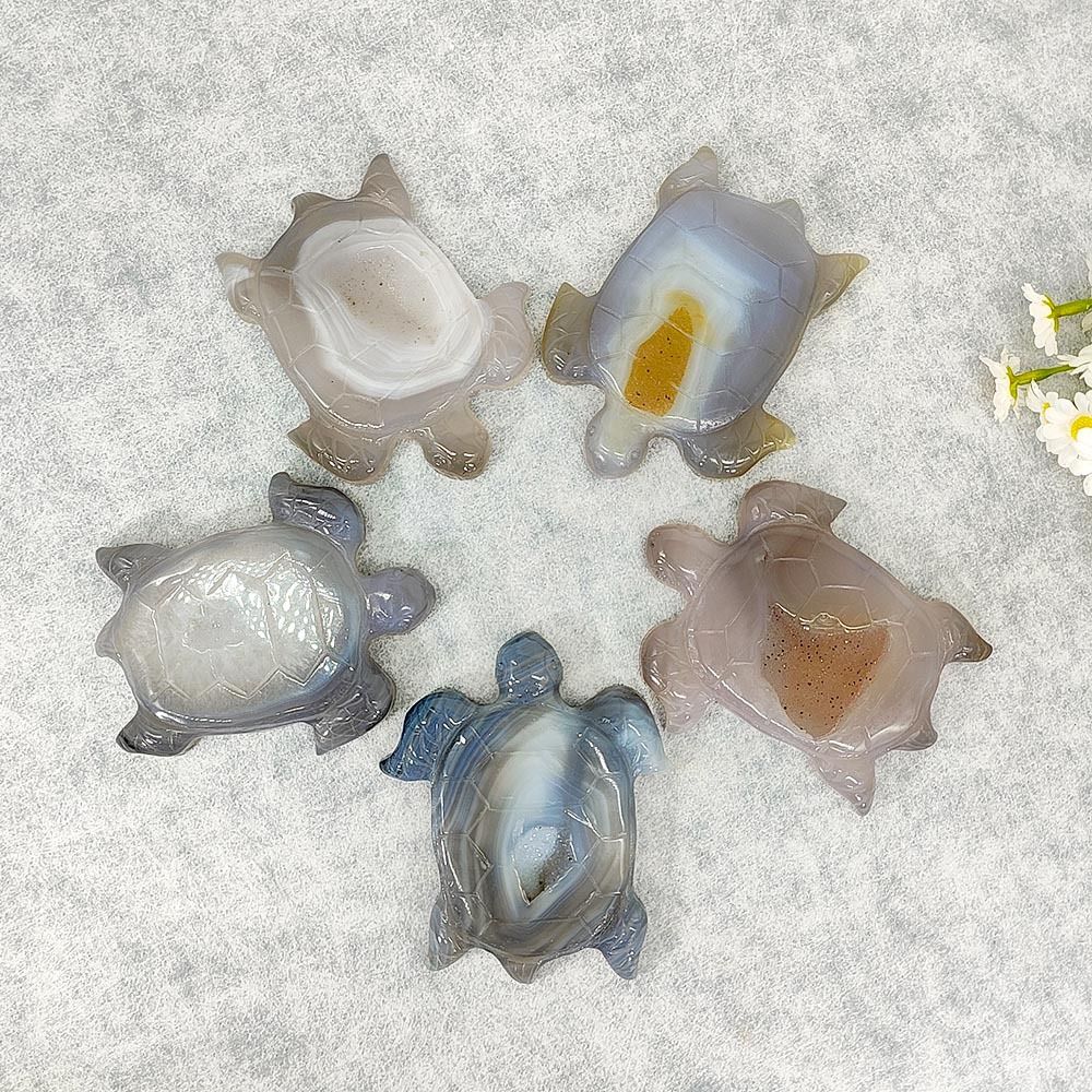 Agate Geode Turtle Crystals Bulk Wholesale gemstone wholesale display