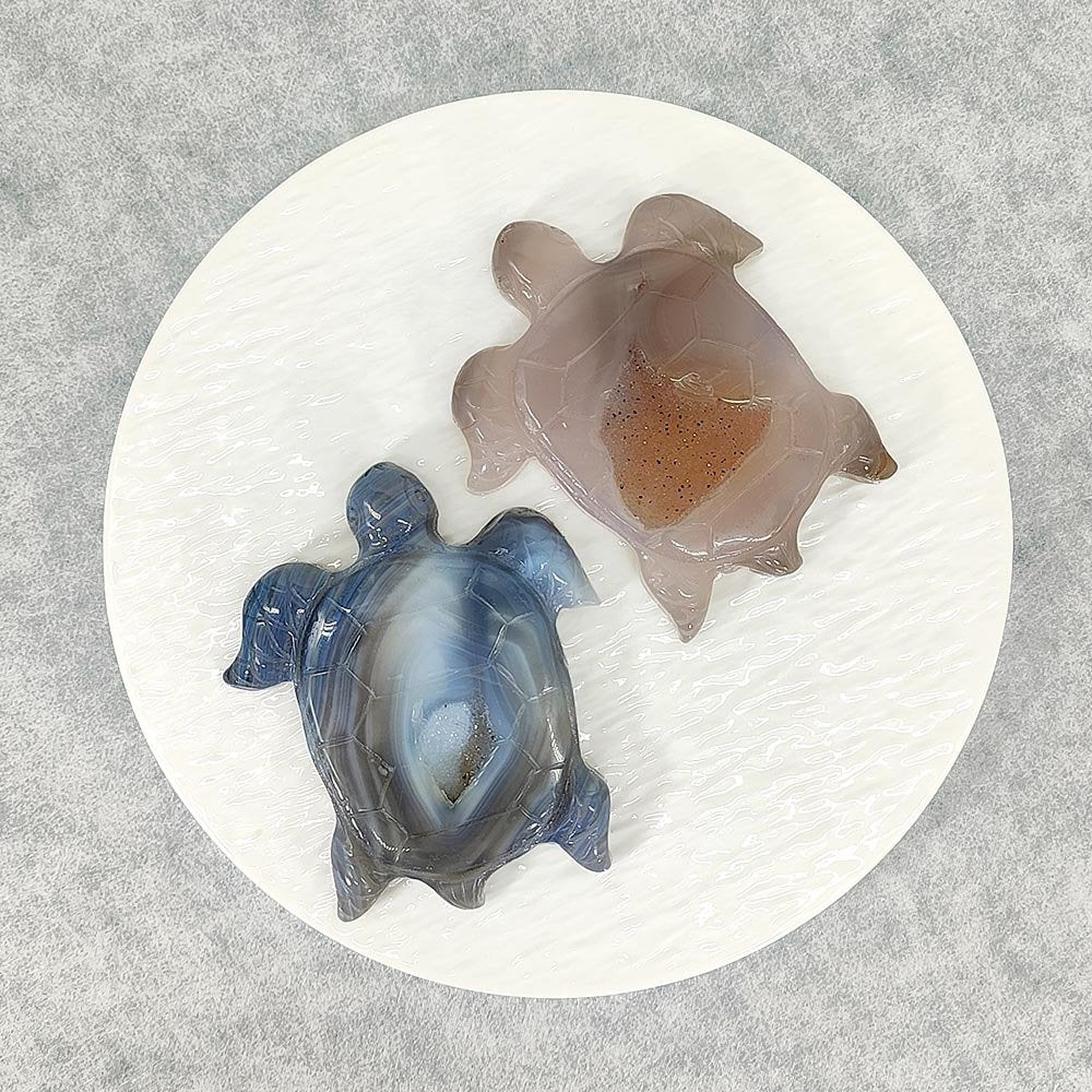 Polished Agate Geode Turtle Crystals Bulk Wholesale crystal close-up